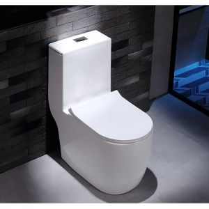 Dual Flush Washdown Siphonic One Piece Toilet Models P Trap S Trap