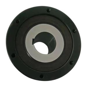 Alternative TSUBAKI cam clutch BS220 backstopping clutch BS series