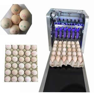 Variable Speed Automatic Egg Stamping Machine With Multiple High Effect