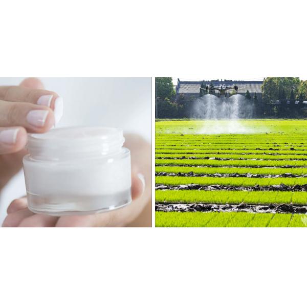 PEG 2000 3000 Polyethylene Glycol Surfactant Poly Ethylene Glycol Factory Supply Emulsifier in Cosmetic Products