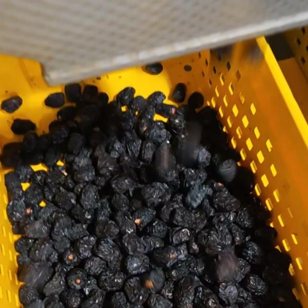 Quality Smart Dates Sorting Machine, Deep-learning AI, 6 lanes+10 outlets, 1.8 Tons per hour, High Performance wholesale