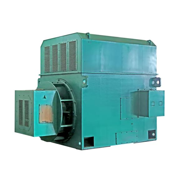 Quality 6kV IP23 Class F IM B3 HV Electric Motor Three Phase Light Weight wholesale