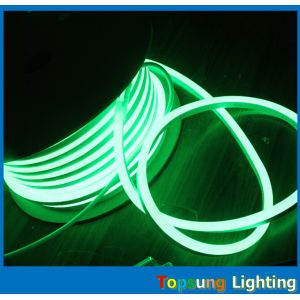 good quality 10*18mm UV resistance 164'(50m) spool ultra-slim Palm tree neon