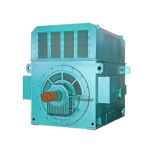 6kV IP23 Class F IM B3 HV Electric Motor Three Phase Light Weight