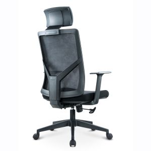 Executive Ergonomic Office Chair with Traditional Design Style and BIFMA
