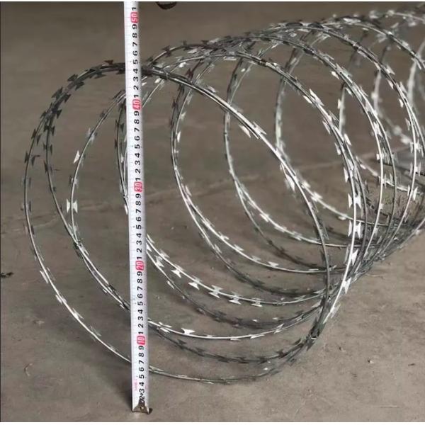 Bto-22 Galvanized Concertina Razor Wire Diameter 600mm Loops For Anti Climbing Fence