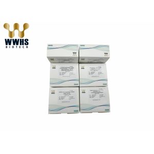 Rapid Quantitative Interleukin 6 Test Kit CE Approval FIA Colloidal Gold Assay