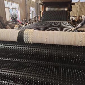 8mm-20mm Thickness Greenroof Dimple Mat Drainage Board with PE Material 2m