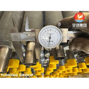 EN10217-7 1.4301 Extruded Finned Tubes With AL Fin: High-Efficiency Heat