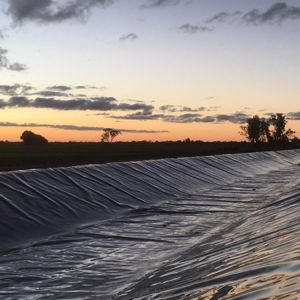 Modern Design Smooth Geomembrane 0.5mm 1mm 2mm Fish Pond Liner Waterproof Direct