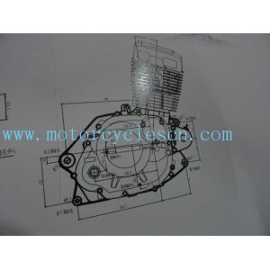 165FML GF200 Single cylinder Water cool 4 Sftkoe vertical with balance Engines