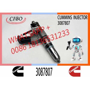 CUMMINS Construction Machinery Part Fuel Injector 3087807 CUMMINS N14 Nozzle