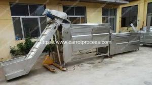 China Large Capacity Carrot Washing Machine on sale