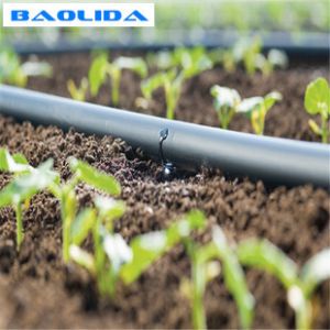 Simple Structure Greenhouse Drip Irrigation System With Pe Pipe Material