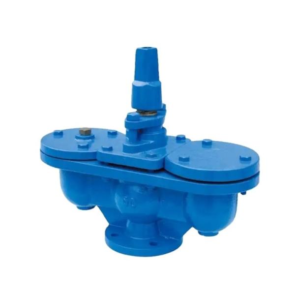 Quality Customized Ductile Cast Iron Double Ball Auto Air Release Valve PN10 PN16 DN50-DN300 wholesale