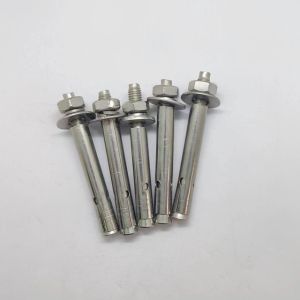 Stainless Steel 904L Expansion Anchor With Nut M6 - M20 Expansion Anchor Bolt