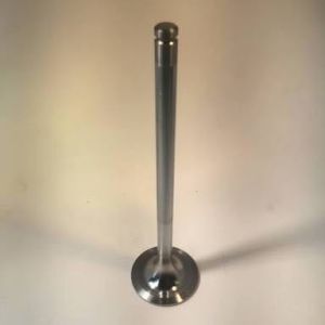 Truck Engine Intake Valve TD27 TD27T TD27T-A11 Auto Engine Parts