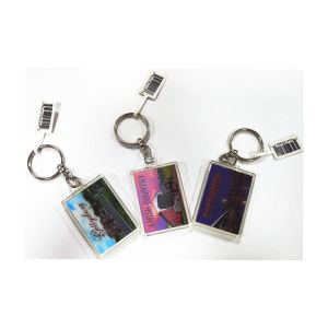 Zinc Alloy 3D Acrylic Keychains / Key Rings With OEM Paper Card Bag