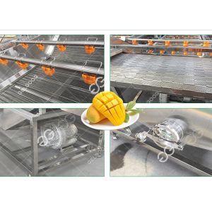 Sterilization And Disinfection Mango Washing Machine Fruit Washing Machine