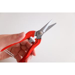 Quality Professional Cutting Scissors Pointed Tip Design Pivot Mechanism 160mm