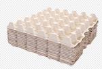 Full Automated Reciprocating Egg Carton Making Machine With 6 Layer Drying Line