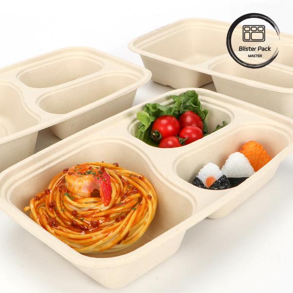 Quality 9-Inch Sugarcane Bagasse Clamshell Lunch Box Disposable and Biodegradable Food Container for Burgers and Bakery wholesale
