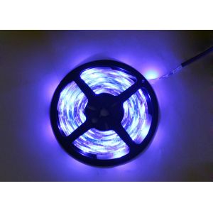 300 LEDs SMD 3528 RGB LED Strip Lights Multi Color With 24W IP68 Outdoor