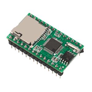 Cheap RS232 Communication SD Card Module WT5001M02-28P With SPI Interface for sale