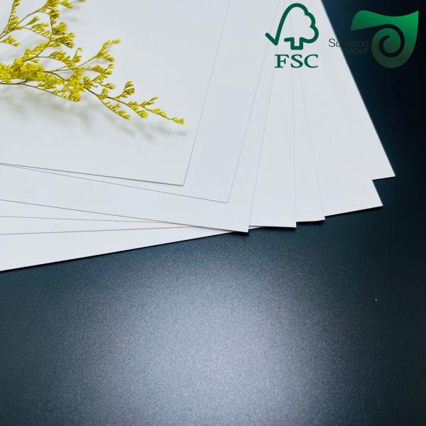 Quality 255gsm FSC Single Sided Coated Ivory White Cardboard  High Bulk Low Grammage Writing Friendly wholesale