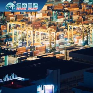 Ocean Sea Freight Agent International Shipping Forwarder Service From China to