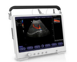 Panoramic Focusing Color Doppler Machine With 4D Function Optional