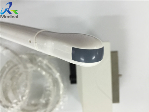 Quality 10mm Convex Ultrasound Transducer , Convex Probe Ultrasound EC1123 wholesale
