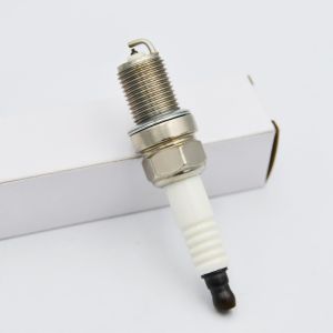 Engine Spare Part Replacement For CHAMPION RC78(W)PPY/218