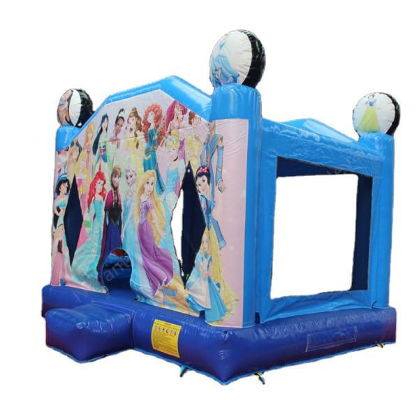 Castle Inflatable Bouncer Cartoon Character Bouncy Jumping House with Customized