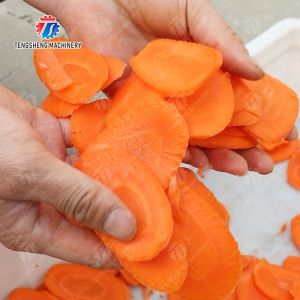 Double head vegetable cutting machine papaya chieh qua pumpkin wax gourd Ginger