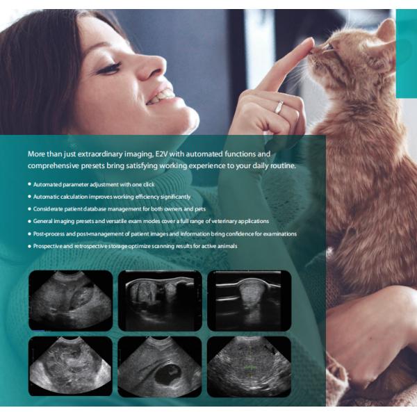 E2V Veterinary Ultrasound Doppler Color Sonoscape E2