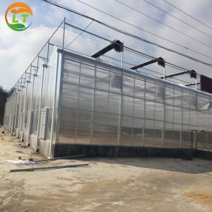 China Large Polycarbonate Greenhouse for Vegetable and Flower Cultivation on sale