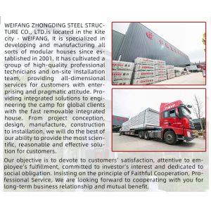 Prefab Modular House Container Homes Folding Shipping Container House Green Safe