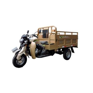 Automatic Electric Cargo Tricycle 3 Wheel Motorcycle 200cc Unique Carriage