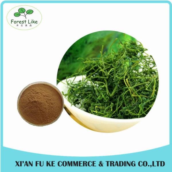 Quality Wholesale Natural Saponins 20 %- 98 % Gynostemma Extract for Lower Blood Pressure and Lipid wholesale
