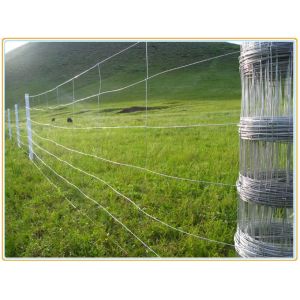 China Galvanized Wire Mesh Fence Field 164ft Zoo Wild Fencing Roll Hardware on sale