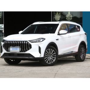 2023 Jetour X70 1.5T DCT Brave plus version Medium SUV 1.5T 156HP L4