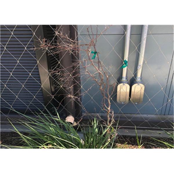 Rustproof SS Rope Mesh 1.2mm Reinforcing Metal Mesh For Climbing Plants
