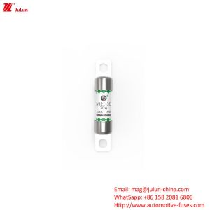 China DC800V  DC850V  Affordable Automotive Battery Charger Fuse With Protection EV OEM Logo on sale