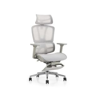 FOSHAN Office Furniture Swivel Ergonomic Executive Chair with Footrest Free