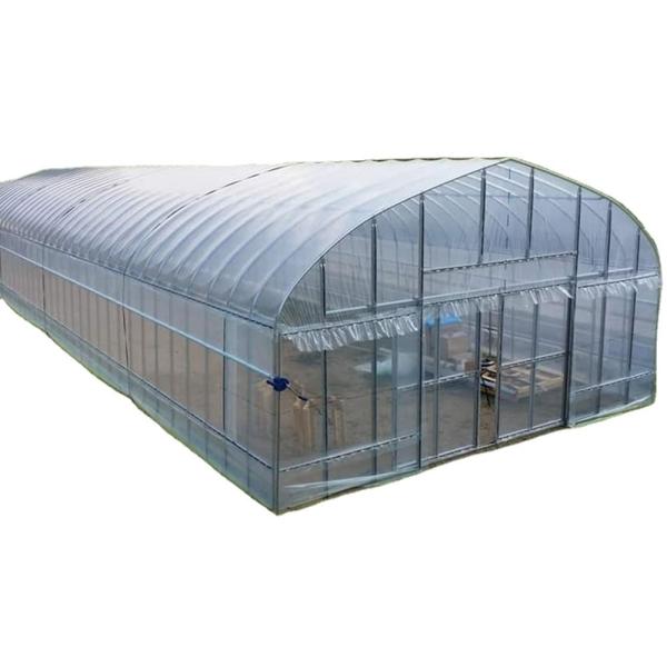 Quality 2.5-5M Height Tomato Hydroponic High Tunnel Agriculture Greenhouse with Film Cover wholesale