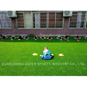 Kids Friendly Synthetic Astro Turf Carpet Polyethylene Landscaping Artificial