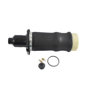 Audi A6 C5 1999-2006 Standard Air Suspension Spring (L) 4Z7616051A (R)