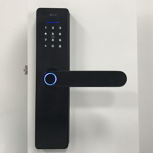 Quality Aluminum alloy Biometric Smart Lock With Fingerprint Sensor wholesale