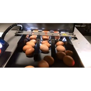 Industrial Chicken Egg Washing Machine Automatic Chicken Egg Processing Line